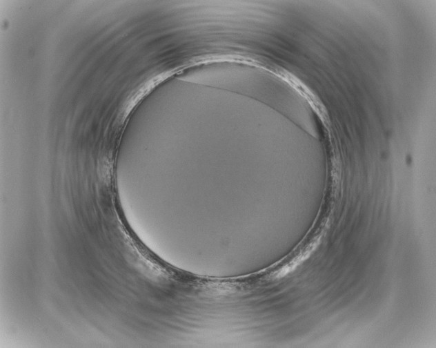 X0000087410993200705111847