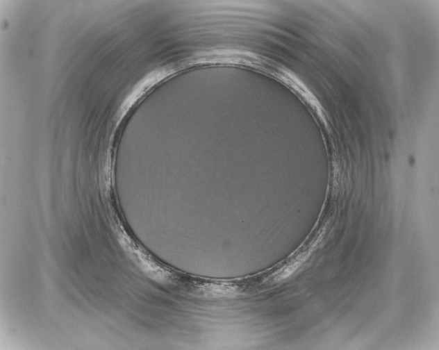 X0000087410994200705111847