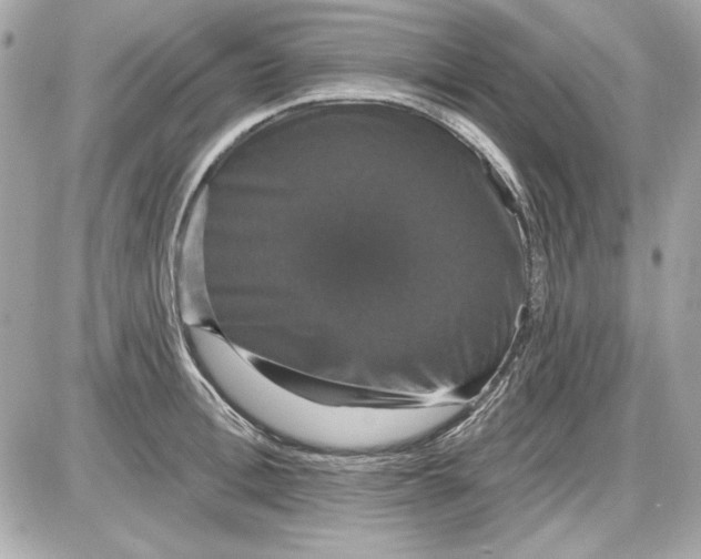 X0000087410996200705111847