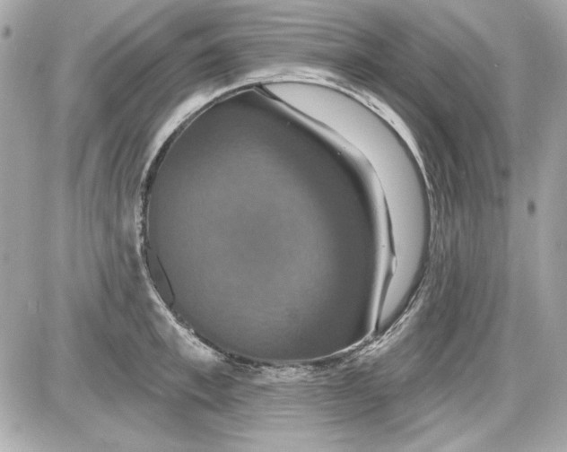 X0000087410997200705111847