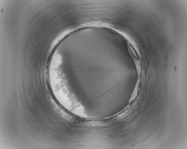 X0000087410998200705111847