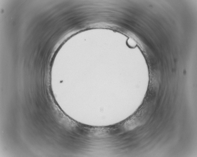 X0000087411000200705111846