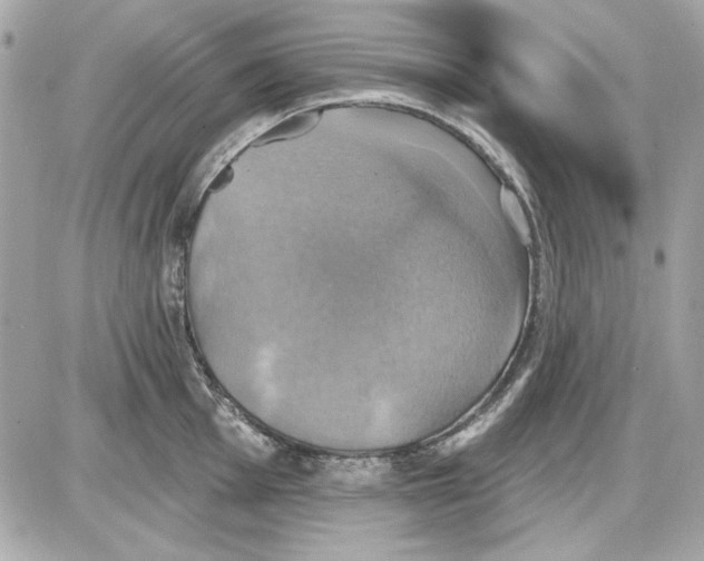 X0000087411001200705111846