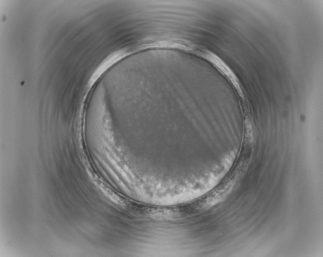 X0000087411002200705111846