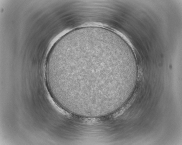 X0000087411003200705111846