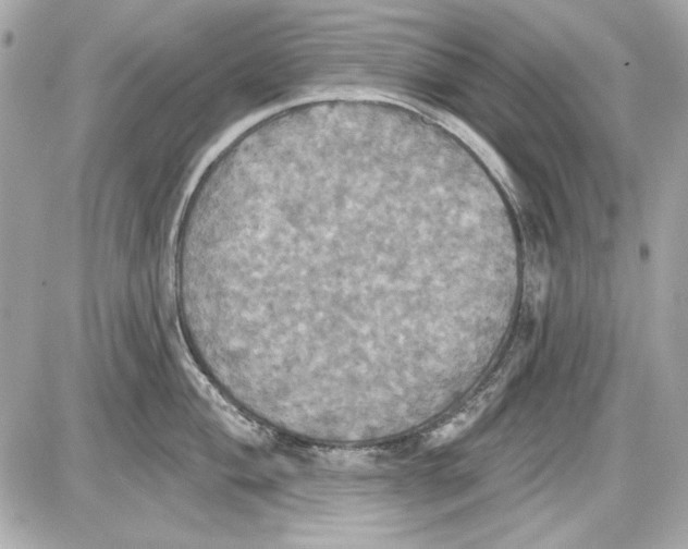 X0000087411004200705111846