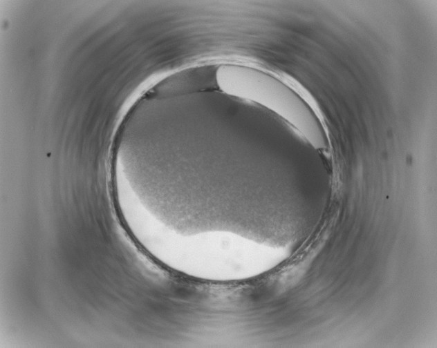 X0000087411005200705111846