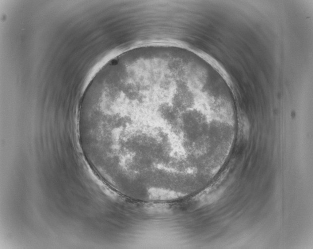 X0000087411006200705111846