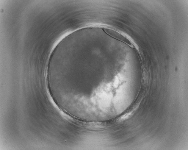 X0000087411007200705111846