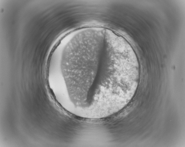 X0000087411008200705111846