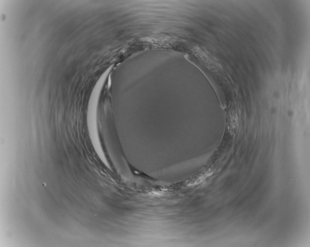 X0000087411010200705111846