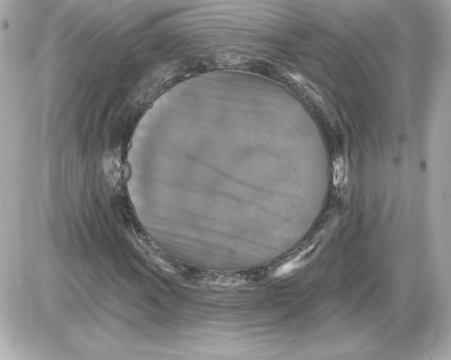 X0000087411011200705111846