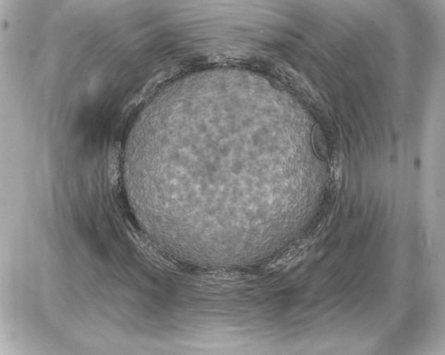 X0000087411012200705111846