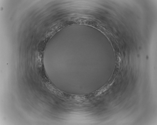 X0000087411013200705111846