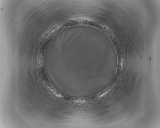 X0000087411014200705111846