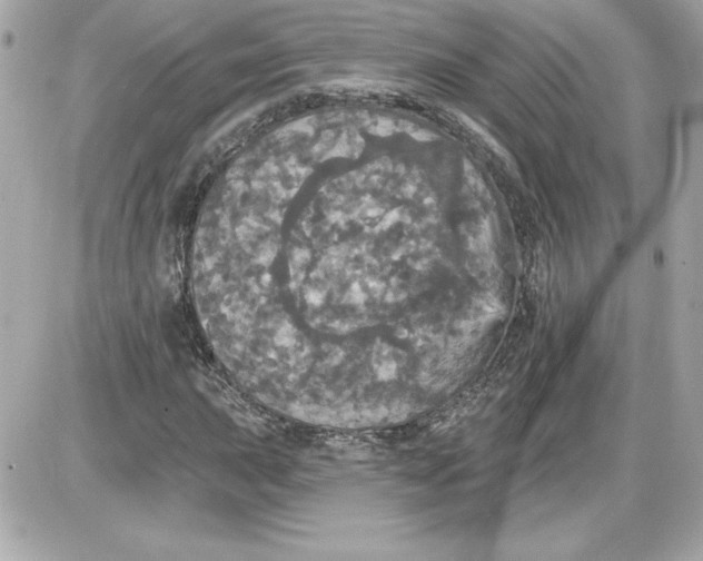 X0000087411015200705111846