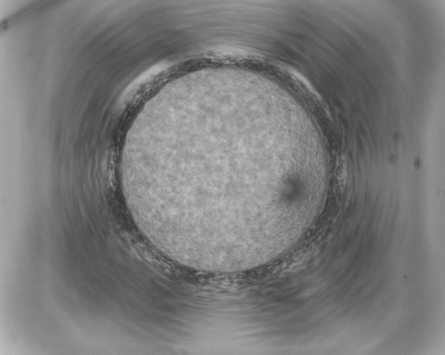 X0000087411016200705111846