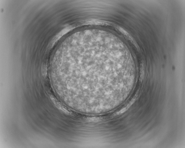 X0000087411017200705111846