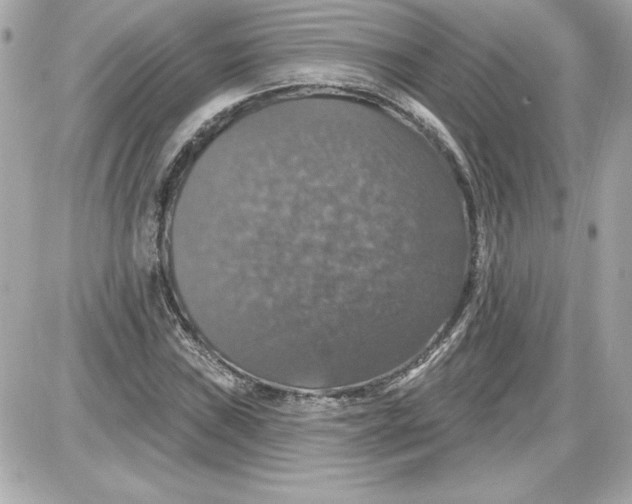 X0000087411019200705111846