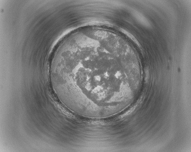 X0000087411021200705111846