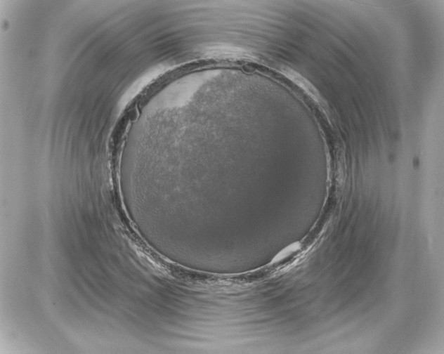 X0000087411022200705111846