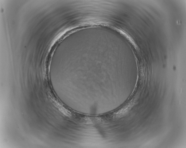 X0000087411023200705111846