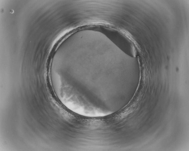 X0000087411024200705111846