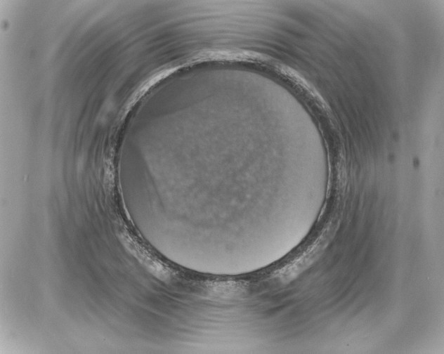 X0000087411025200705111846