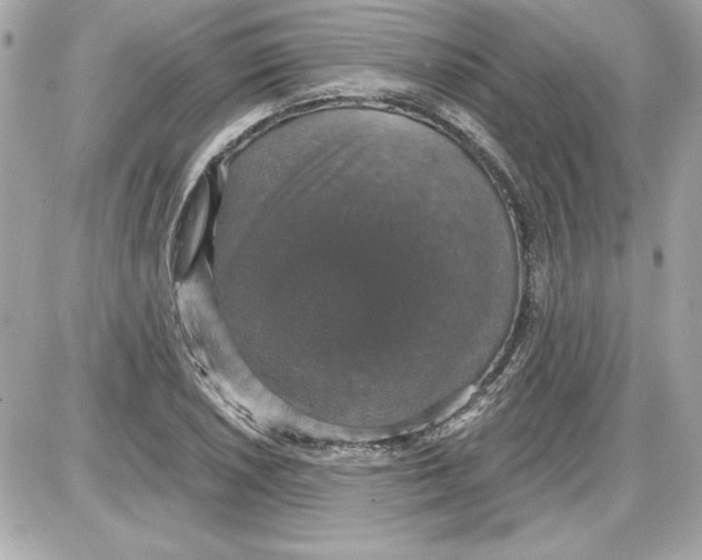 X0000087411026200705111846