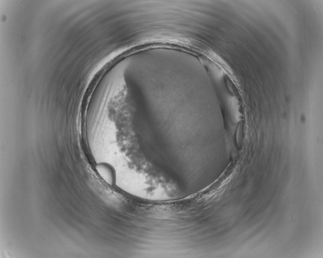 X0000087411028200705111846