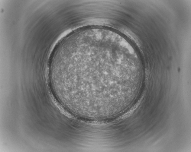 X0000087411029200705111846