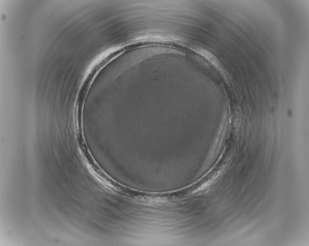 X0000087411030200705111846