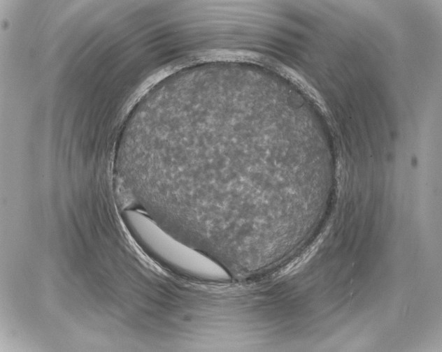 X0000087411033200705111846