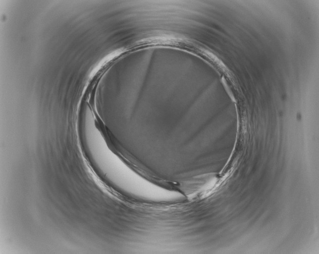 X0000087411034200705111846