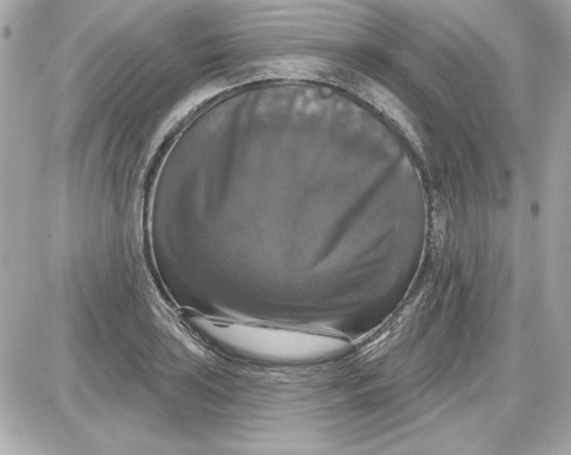 X0000087411035200705111846