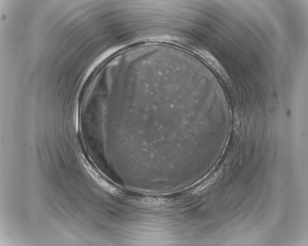 X0000087411036200705111846