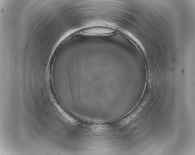 X0000087411037200705111846