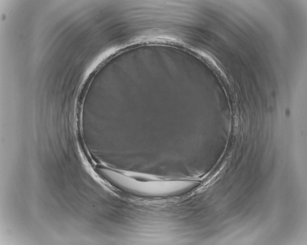 X0000087411038200705111846