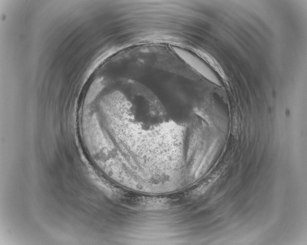 X0000087411039200705111846