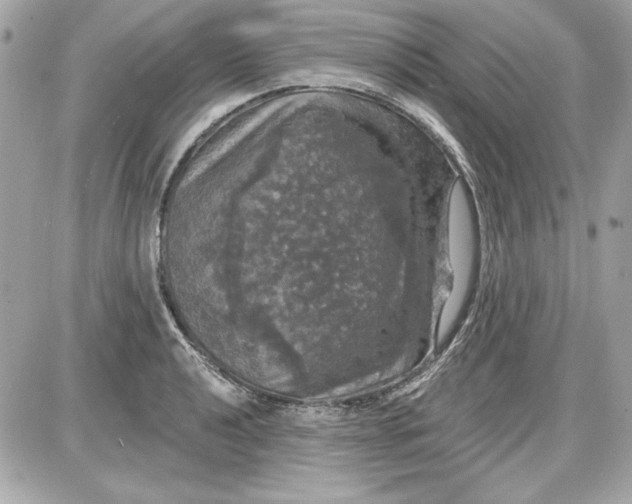 X0000087411040200705111846