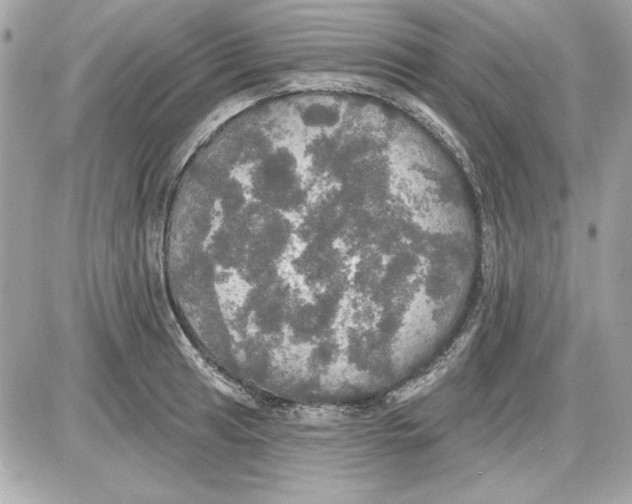 X0000087411041200705111846