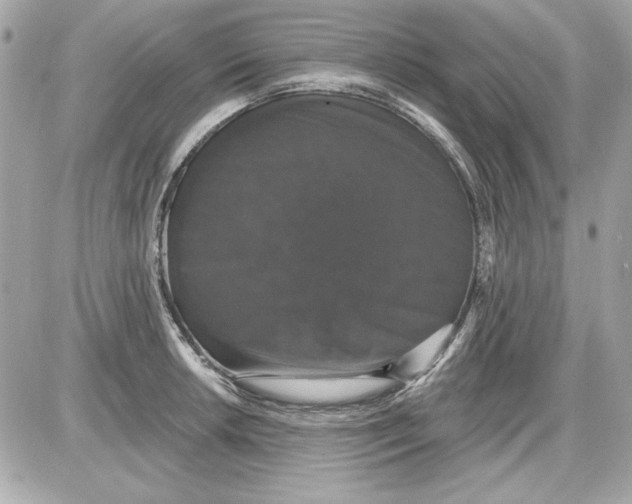 X0000087411042200705111846