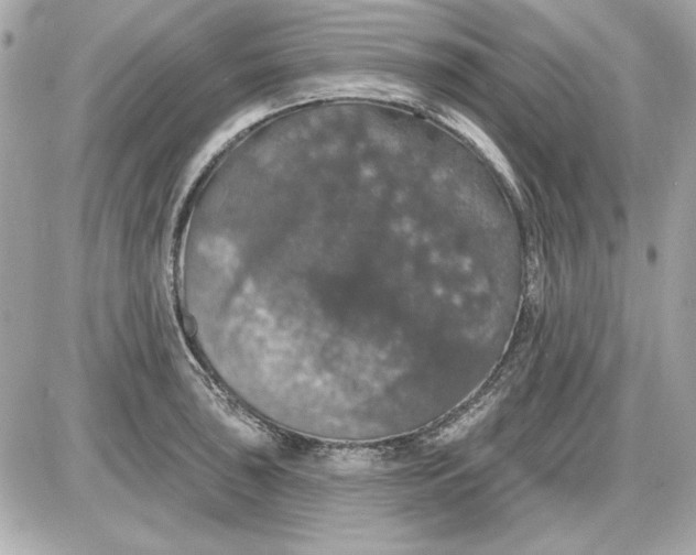 X0000087411043200705111846