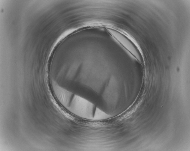 X0000087411045200705111846