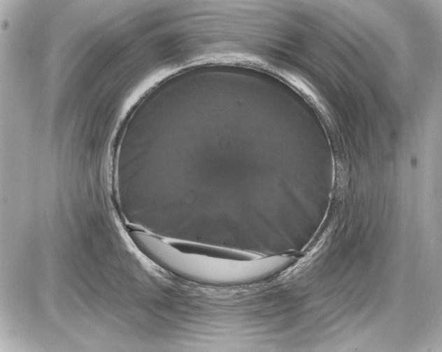 X0000087411046200705111846