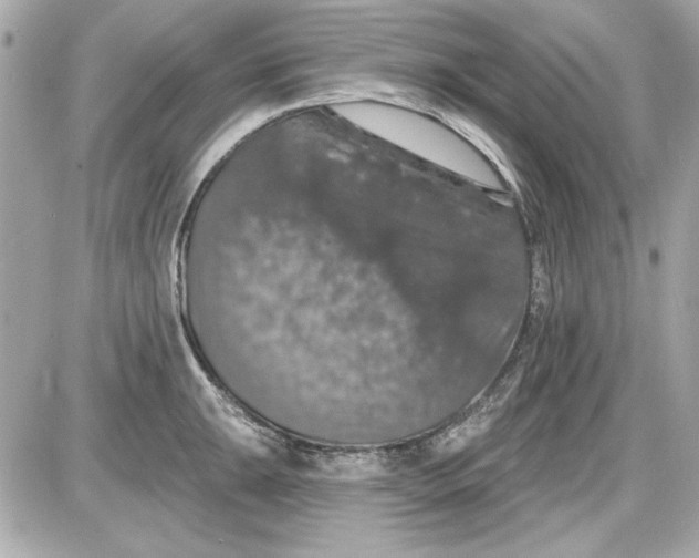 X0000087411047200705111846