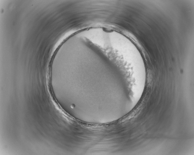 X0000087411048200705111846