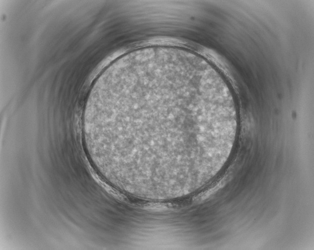 X0000087411049200705111846