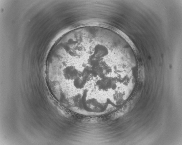 X0000087411051200705111846