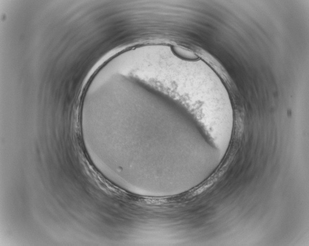 X0000087411052200705111846